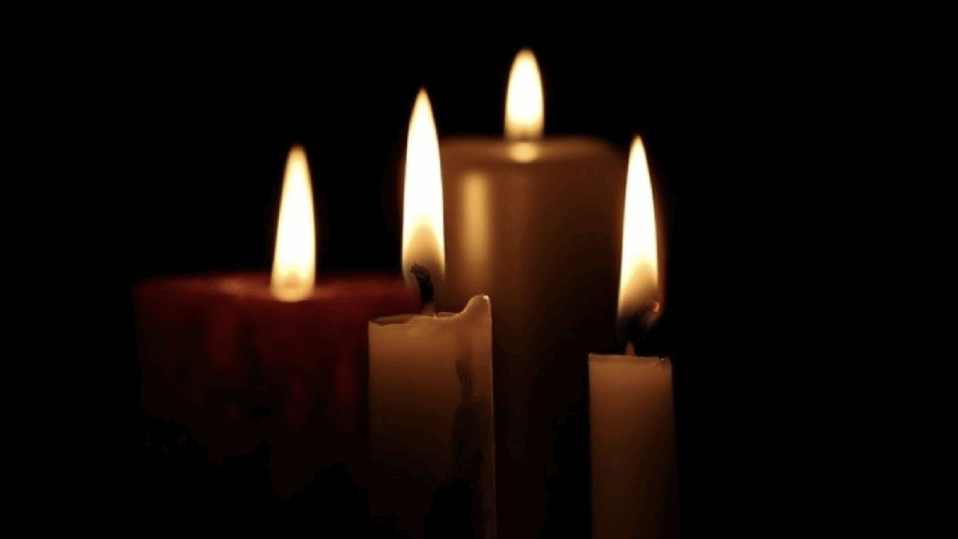 Fieles difu Fieles difu