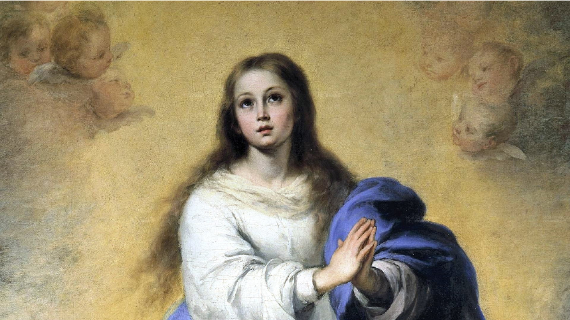 Inmaculada Concepción copia